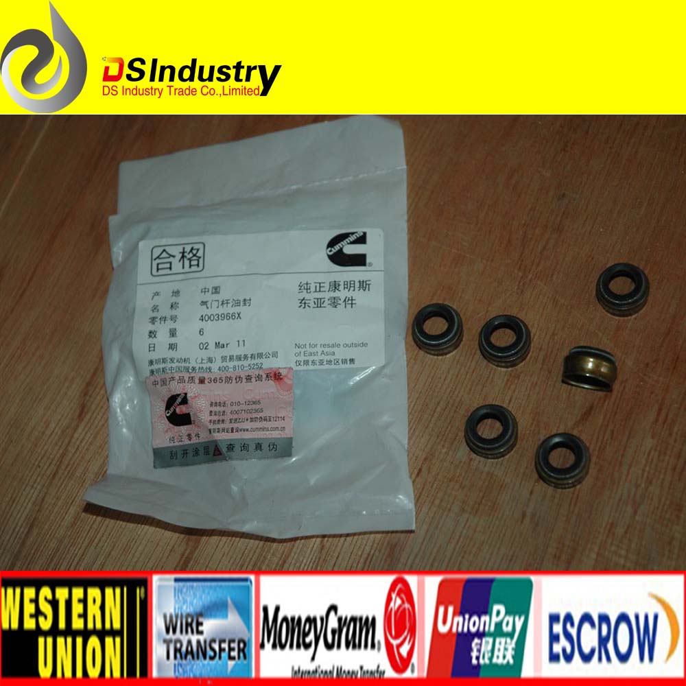 Cummins M11 Valve Stem Seal 4003966/3606766