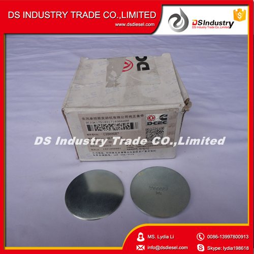 Cummins Expansion Plug 3900687