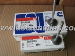 Cummins  Intake valve 6BT5.9 3901117 3920867