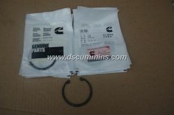 Cummins M11 Piston retaining ring 3016652