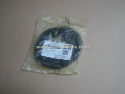 CUMMINS 6CT Liner Seal 3907177