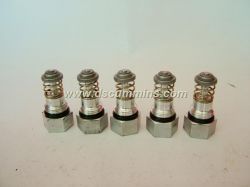 CUMMINS 6CT 6L Valve, Bypass 3934410