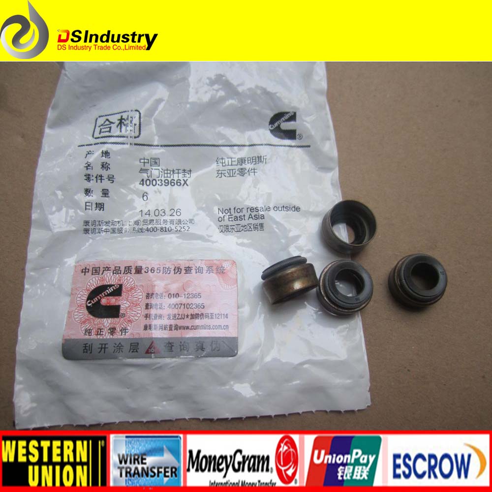 Cummins M11 Valve Stem Seal 4003966/3606766